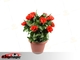 Blooming Rose Bush - Remote Control - 10 Flowers