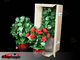 Blooming Rose Bush - Remote Control - 20 Flowers