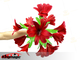 Appearing feather bouquet to ball - Red
