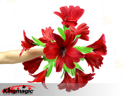 Appearing feather bouquet to ball - Colorful