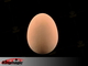 Emulational Egg - lateksa Egg - Brown