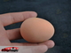 Emulational Egg - Latex Egg - Brown