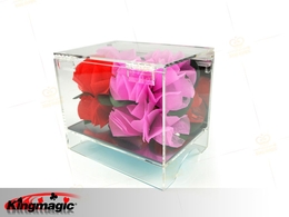 Crystal Box Appearing Flower