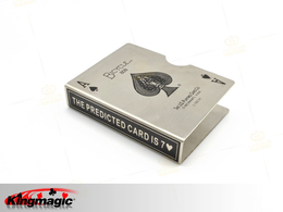 Acél kerékpár kártya Protector (ezüst)
