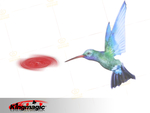 Hummingbird kortet