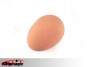 Emulational muna - Latex muna - ruskea