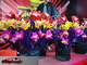 Flower Pots From Cape illusion flower magic